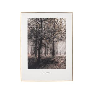 MONO FOREST TRAIL PRINT WITH BLACK/GOLD FRAME