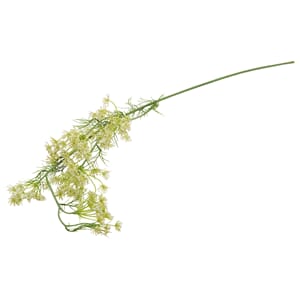 LARGE QUEEN ANN LACE WHITE