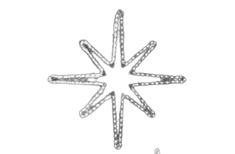 Orion Ø: 40 cm kaldhvite LED